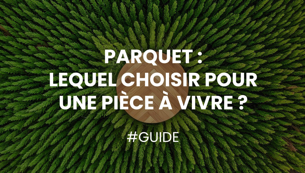 Quel Parquet Choisir Pour une Pièce de Vie ?